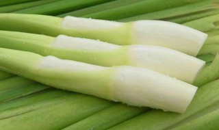 茭白炒青菜做法窍门（茭白炒白菜的做法）