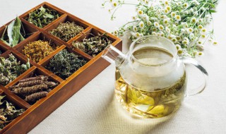 金银花茶的做法（金银花茶的做法先天下之忧而忧的作者是谁）