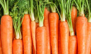 胡萝卜和什么水果一起榨汁好喝