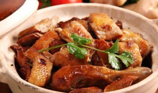 姜母鸭怎么做 姜母鸭怎么做最好吃视频