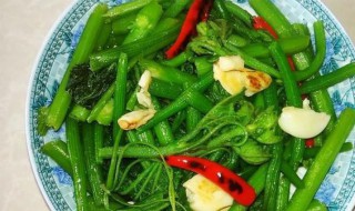 小米辣爆南瓜苗的做法（南瓜苗的做法视频）