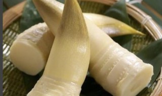 笋皮怎么泡 笋皮怎么泡发得最好
