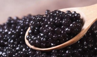 鱼子酱是什么鱼的卵 顶级鱼子酱多少钱一克