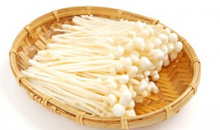 金针菇和豆芽可以一起吃吗（金针菇和豆芽可以一起吃吗会中毒吗）