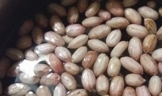 在家做水煮花生方法(正宗水煮花生的做法窍门)