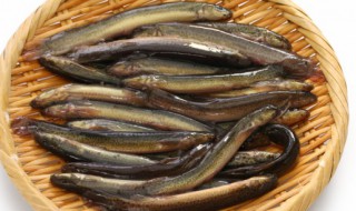 干煸泥鳅的做法（泥鳅家常做法）