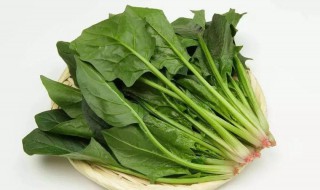 菠菜的做法?（菠菜的做法大全家常视频）