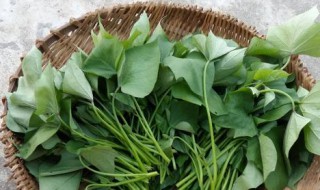 地瓜叶汁的做法?(番薯叶汁怎么做好吃)