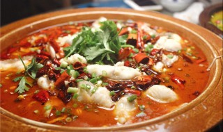 做水煮鱼可以放什么蔬菜（做水煮鱼可以放什么蔬菜呢）