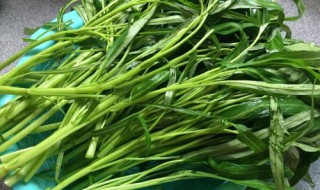 空心菜通便吗（空心菜通便吗?）