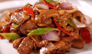 圆葱炒肉的做法（洋葱炒肉的做法家常）