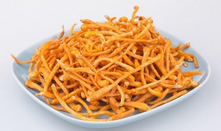 虫草花最佳的食用与做法（虫草花的最佳食用方法）