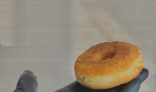 超好吃生酮甜甜圈(甜甜圈生物)