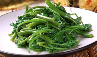 空心菜和鸡蛋能一起吃吗 空心菜和鸡蛋可以一起吃吗?