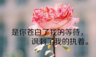 发朋友圏的句子（发说说@朋友的句子）