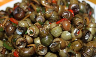 螺丝吐沙的方法 螺丝怎么让它吐沙子