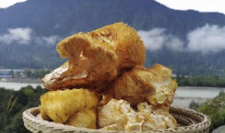 干猴头菇的家常做法（六种人不宜吃猴头菇）