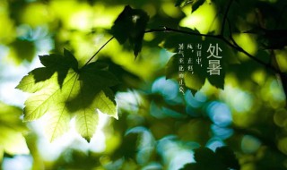 三伏天后是什么节气（三伏天后的节气）