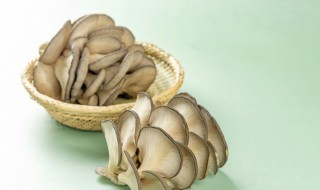 平菇肉片的做法（平菇肉片汤的做法）