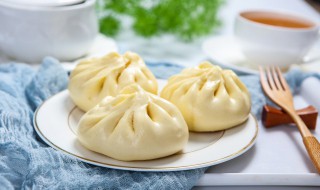 冷天做肉包怎么做 冷天做肉包怎么做好吃