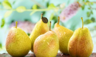 梨怎么做清热 梨怎么做清热止咳