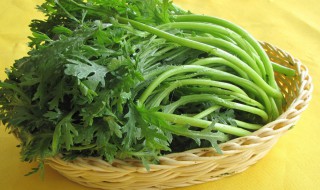 怎么挑选茼蒿 茼蒿怎么择