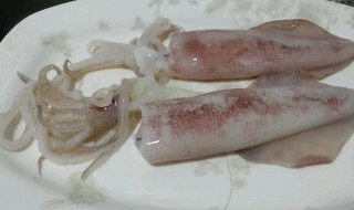 超市鱿鱼怎么挑选（买鱿鱼怎么挑选）