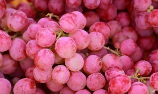 买提子怎么挑选 红提子怎么挑