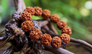 怎么挑选核雕手串 怎么挑选核雕手串的好坏