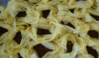 回族麻叶子 麻叶子是啥