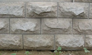 怎么挑选蘑菇石（蘑菇石是怎样加工的?）