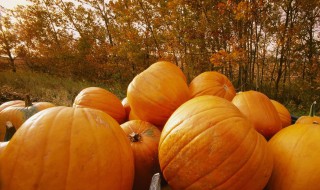 怎么挑选粉南瓜 如何挑选粉南瓜