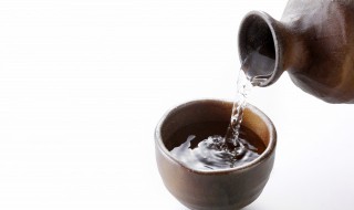 仙人掌果实怎么做酒 仙人掌果怎样做酒