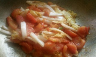 番茄烩白菜怎么做（白菜煮番茄）