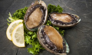 苏南鲍鱼正宗做法和配方（苏洛鲍鱼的做法）