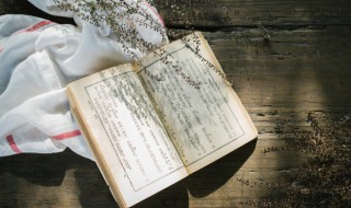 带地的诗句的古诗 带有地的古诗句