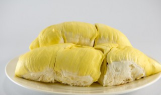 榴莲烧饼制作教程（榴莲烧饼制作教程视频）