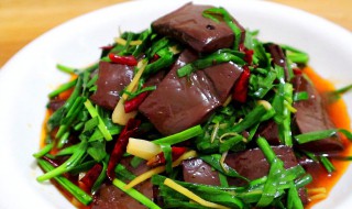 猪肉炖猪血的正确方法（猪肉炖猪血的正确方法视频）