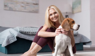 简单的训狗教程（简单的训狗教程图解）