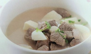 炖牛腿最正宗的做法教程（炖牛腿最正宗的做法教程图片）