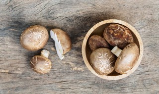 苦瓜炒香菇教程（苦瓜炒香菇教程图片）