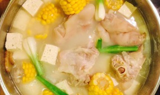 米豆腐炖猪蹄怎么做 米豆腐炖猪蹄怎么做才好吃