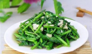 清炒筒篙怎么做（清炒筒篙怎么做好吃）