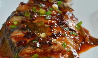 蚝油红烧鲫鱼怎么做 红烧鱼 蚝油
