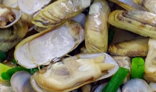 红油拌海蛏怎么做（红油拌海蛏怎么做的）