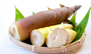 冬笋炒肉怎么做（冬笋炒肉怎么做好吃又简单窍门）