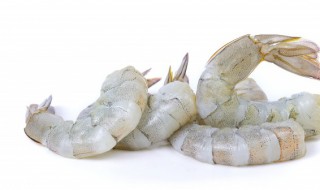 煮白虾的正确方法（煮白虾的正确方法视频）