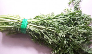 家庭雪菜的腌制方法（请问雪菜怎么腌）