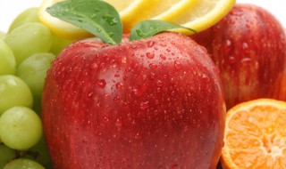 车里水果摆放技巧 车里水果摆放技巧图片