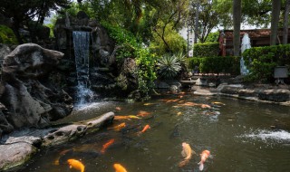 庭院假山鱼池过滤方法 水池假山景观鱼池过滤